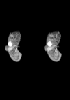 day 32 human embryo MRI animation